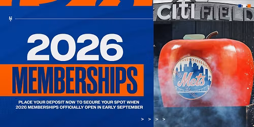 Tampa Bay Rays vs. New York Mets