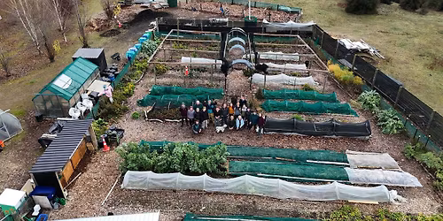 Saturday Morning Bee & Tea - Final bee for the year