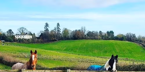 Ponies at the Pictures!!