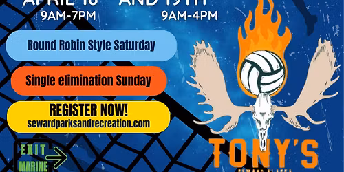 Tony's Volleyball Tournament