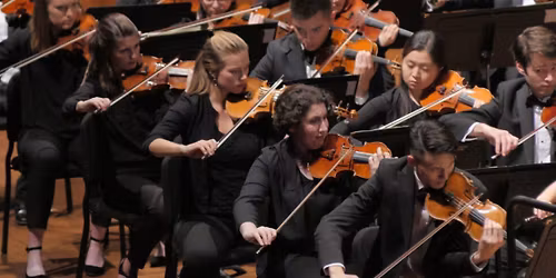 Campus Orchestras