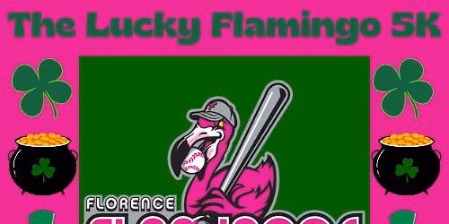 The Lucky Flamingo 5k