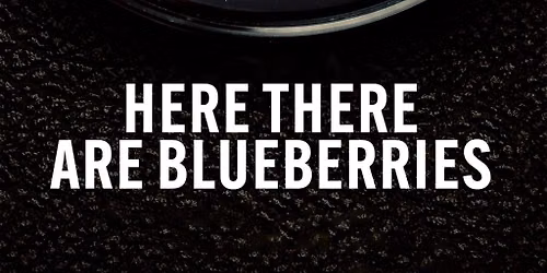 Here There Are Blueberries