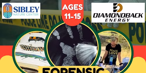 Forensic Summer Camp