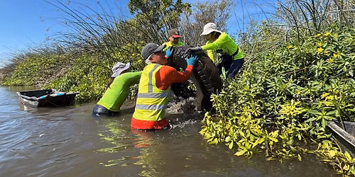 \ud83d\uddd1\ufe0f\ud83c\udf31Steelhead Crk Trash\/Invasive Removal @ San Juan, 6\/14\/26