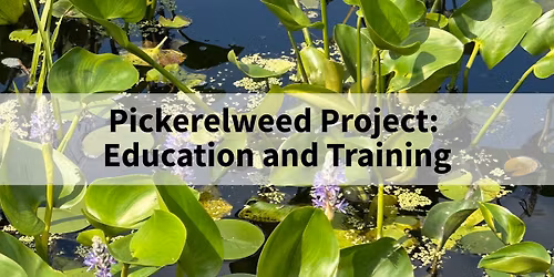 Pickerelweed Project: Education and Training