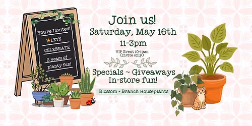 \ud83c\udf89 Blossom + Branch Houseplants 2nd Anniversary! 