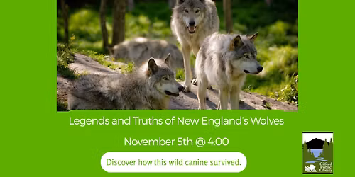 Legends & Truths of New England Wolves