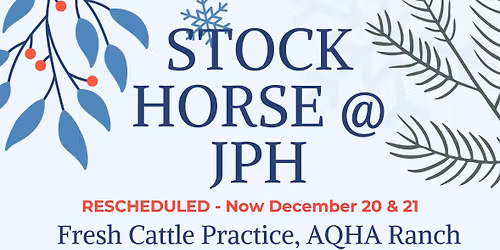 December Stock Horse @ JPH