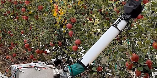 Cyber-Physical Systems in Agriculture: Integrating Robotics and Humans