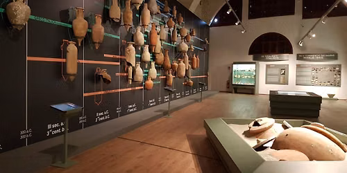 Visita guidata al Museo delle Navi Antiche di Pisa