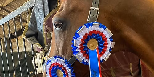 Evening Dressage FINAL