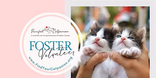 Purrfect Sunday Funday Fundraiser