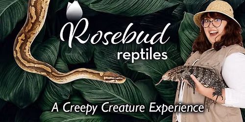 Rosebud Reptiles: A Creepy Creature Experience