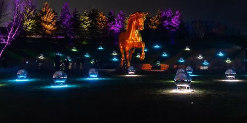 Enlighten - Winter lights at Frederik Meijer Gardens