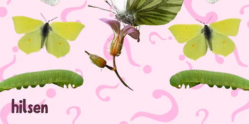 Anna og Frida formidler naturen \/\/ Weekend for b\u00f8rn