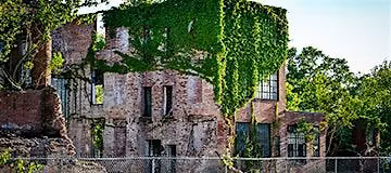 “Beauty and Decay” – Calvin Mennyweathers photography