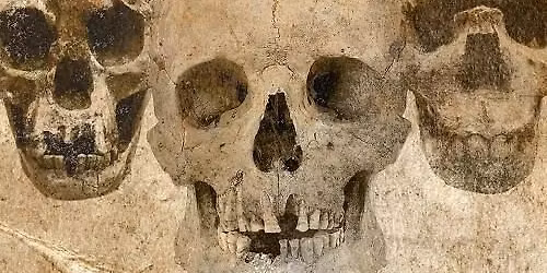 Gratis foredrag: DNA og fossiler udvider vores stamtr\u00e6