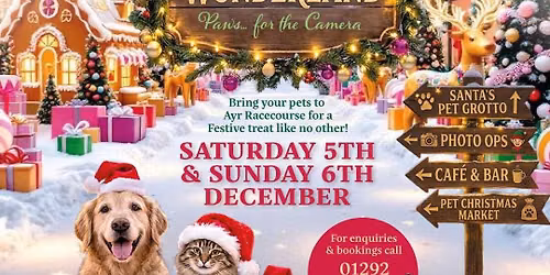 Waggy Wonderland 