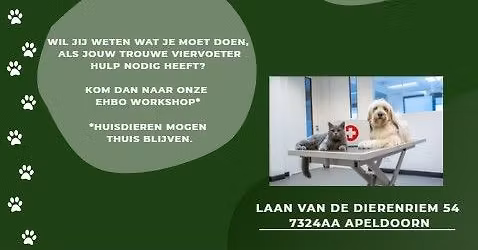 EHBO workshop hond\/kat