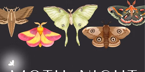 Moth Night 