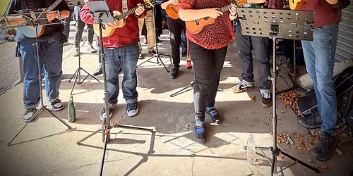 Stretford Uke at Longford Park Community Allotment