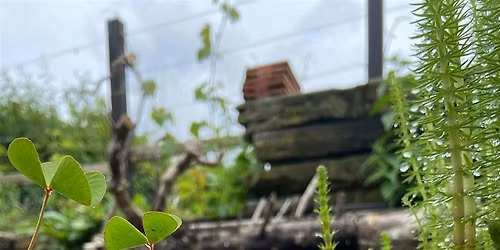 Water Stories film screening