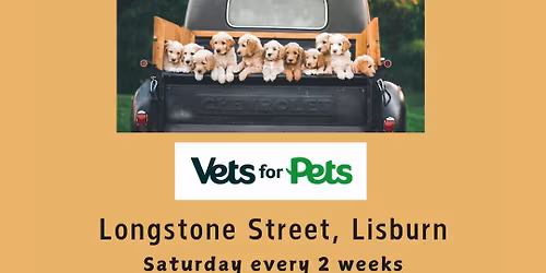 Socialisation Saturday