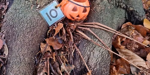 Spooktacular Under 7s Forest Fun