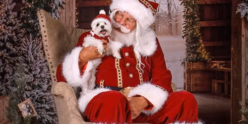 2026 Santa Pet Photos - DAY 2!