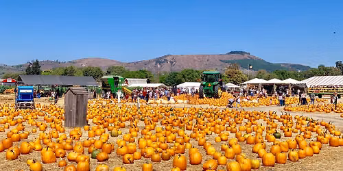 29th Annual Fall Harvest Festival