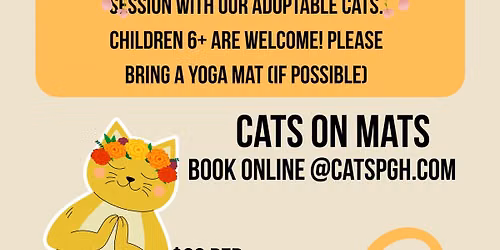Yoga with cats