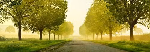 Navigating Life's Changes: Support & Strategies for New Beginnings