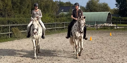 Arne Koets Sommerkursus