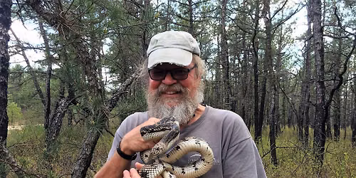 Why Snakes are Cool