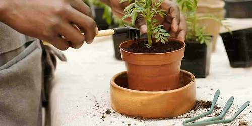 Huertos in the Sky: El teu Hort