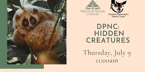 DPNC: Hidden Creatures