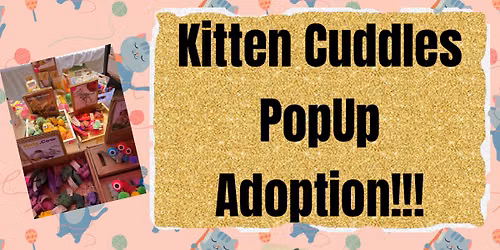 Kitten Adoption pop-up!!!