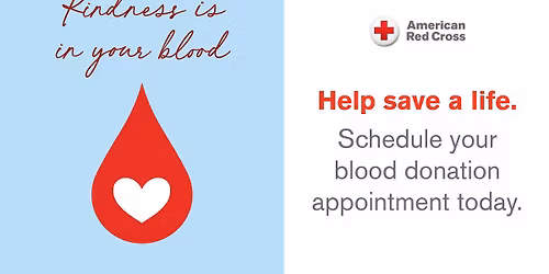 Blood Drive