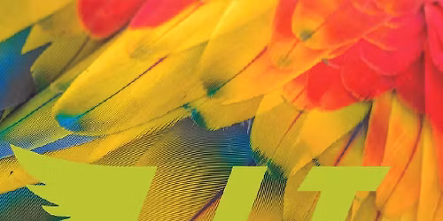 LIT Ibiza Takeover Bank Holiday Sunday Opening Party