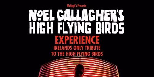 Noel Gallaghers High Flying Birds Experience