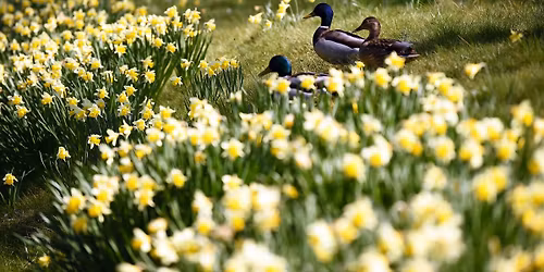 Spring Wreath Making Workshop