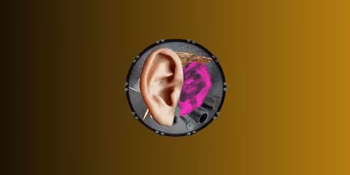 Ear Transplant: HIT THINGS!