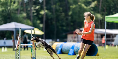 Agility intenz\u00edvka s Veronikou Kr\u00e1likovou 