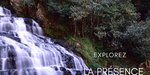 La Pr\u00e9sence au Coeur de Soi