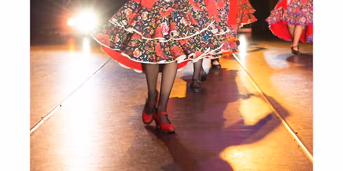 National Institute of Flamenco at National Hispanic Cultural Center