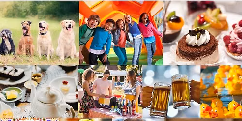 The Binsted Fete 2026, including Fun Dog Show, Bake Off, Flower & Photography Competition. 