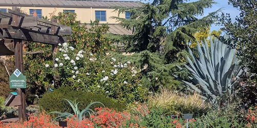 LDG Garden Talk: Plant Choices for a Low water Garden