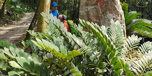 \u71c8\u7bd9\u3001\u8096\u6960\u6b65\u9053