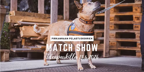 Match Show Ideaparkilla 13.6.
